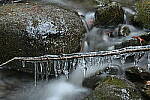 Click to see Y-JG-Z7-SIGMA-105MM-2009.JPG