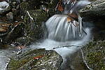 Click to see Y-JG-Z7-SIGMA-105MM-2037.JPG