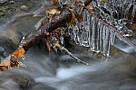 Click to see Y-JG-Z7-SIGMA-105MM-2055-MOD.JPG