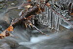 Click to see Y-JG-Z7-SIGMA-105MM-2055.JPG