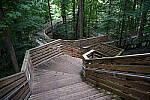Click to see Y-WB-24_200MM-DSC_0016.JPG