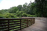 Click to see Y-WB-24_200MM-DSC_0017.JPG
