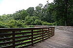 Click to see Y-WB-24_200MM-DSC_0018.JPG