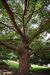 Click to see Y-WB-24_200MM-DSC_0199.JPG