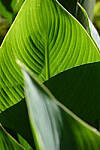 Click to see Y-WB-24_200MM-DSC_0212.JPG