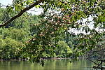 Click to see Y-WB-24_200MM-DSC_0275.JPG