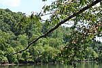 Click to see Y-WB-24_200MM-DSC_0276.JPG