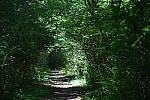 Click to see Y-WB-24_200MM-DSC_0302.JPG