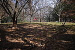 Click to see Y-WB-50MM-DSC_0344.JPG