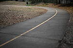Click to see Y-WB-50MM-DSC_0357.JPG