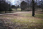Click to see Y-WB-50MM-DSC_0365.JPG