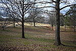 Click to see Y-WB-50MM-DSC_0371.JPG