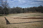 Click to see Y-WB-50MM-DSC_0393.JPG