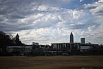 Click to see Y-WB-50MM-DSC_0524.JPG