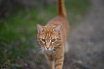 Click to see Y-WB-50MM-DSC_0551.JPG