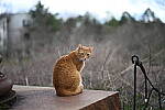 Click to see Y-WB-50MM-DSC_0552.JPG