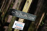 Click to see Y-WB-50MM-DSC_0713.JPG