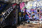 Click to see Y-WB-50MM-DSC_0775.JPG