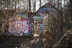 Click to see Y-WB-50MM-DSC_0777.JPG