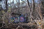 Click to see Y-WB-50MM-DSC_0801.JPG
