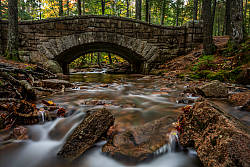 Nikon Z7 field test photo