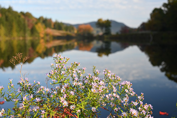 Nikon Z7 Review: Field Test -- Gallery Image