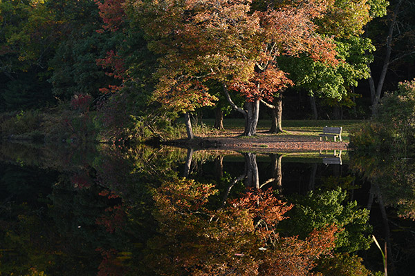 Nikon Z7 Review: Field Test -- Gallery Image
