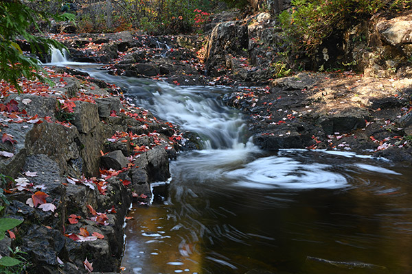 Nikon Z7 Review: Field Test -- Gallery Image