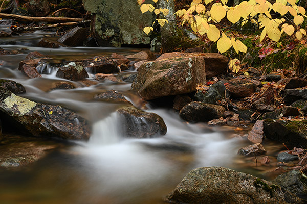 Nikon Z7 Review: Field Test -- Gallery Image