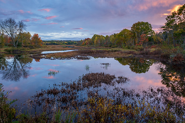 Nikon Z7 Review: Field Test -- Gallery Image