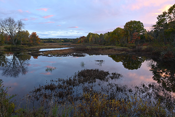 Nikon Z7 Review: Field Test -- Gallery Image