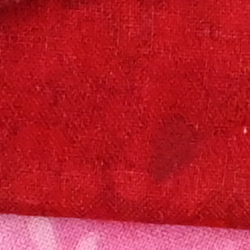 100% crop from Nikon Z7 test image taken at ISO 1600