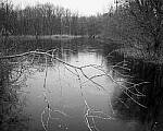 Click to see Y-JG-NIKON-Z9-0002-MOD.JPG