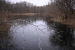 Click to see Y-JG-NIKON-Z9-0002.JPG