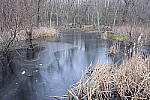 Click to see Y-JG-NIKON-Z9-0017.JPG