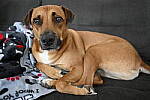 Click to see Y-JG-NIKON-Z9-0036.JPG
