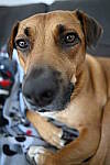 Click to see Y-JG-NIKON-Z9-0041.JPG
