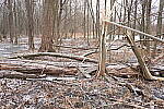 Click to see Y-JG-NIKON-Z9-0124.JPG
