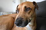 Click to see Y-JG-NIKON-Z9-0168.JPG
