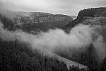 Click to see Y-JG-NIKON-Z9-0192-MOD.JPG