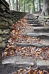 Click to see Y-JG-NIKON-Z9-0220.JPG