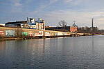 Click to see Y-JG-NIKON-Z9-0241.JPG