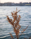 Click to see Y-JG-NIKON-Z9-0251-MOD.JPG