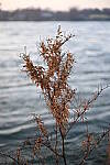 Click to see Y-JG-NIKON-Z9-0251.JPG