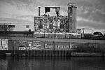 Click to see Y-JG-NIKON-Z9-0261-MOD.JPG