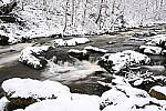 Click to see Y-JG-NIKON-Z9-0268.JPG