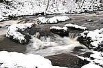 Click to see Y-JG-NIKON-Z9-0273.JPG
