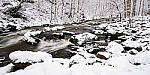 Click to see Y-JG-NIKON-Z9-0275-MOD.JPG