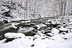 Click to see Y-JG-NIKON-Z9-0275.JPG