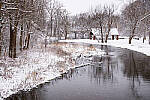 Click to see Y-JG-NIKON-Z9-0280-MOD.JPG